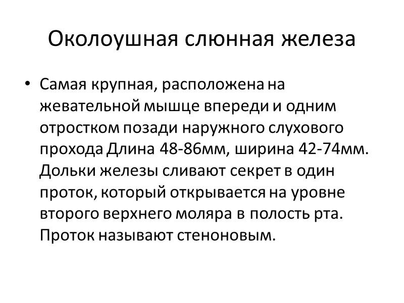 Околоушная слюнная железа Самая крупная, расположена на жевательной мышце впереди и одним отростком позади